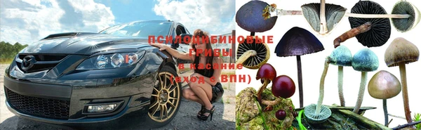 MESCALINE Арсеньев