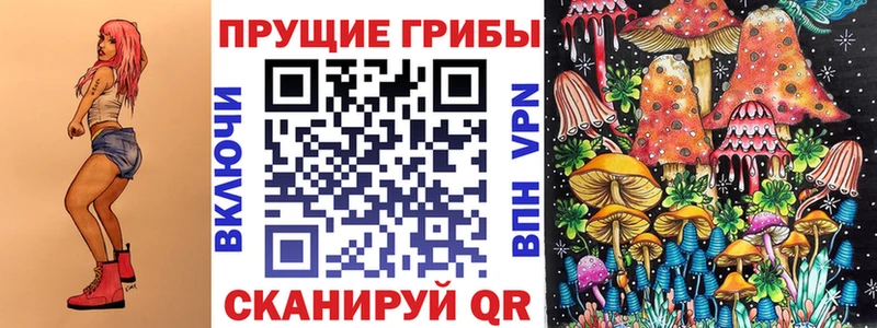 Галлюциногенные грибы Psilocybine cubensis  Купить где  Нахабино 
