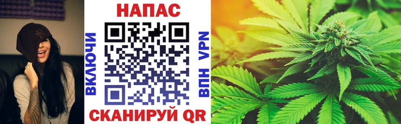 Купить где  Нахабино  Бошки Шишки SATIVA & INDICA 